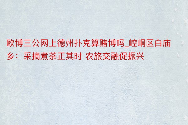 欧博三公网上德州扑克算赌博吗_崆峒区白庙乡：采摘煮茶正其时 农旅交融促振兴